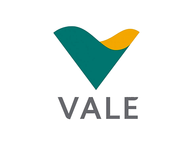 Vale (VALE3) | 1º Semestre de 2025